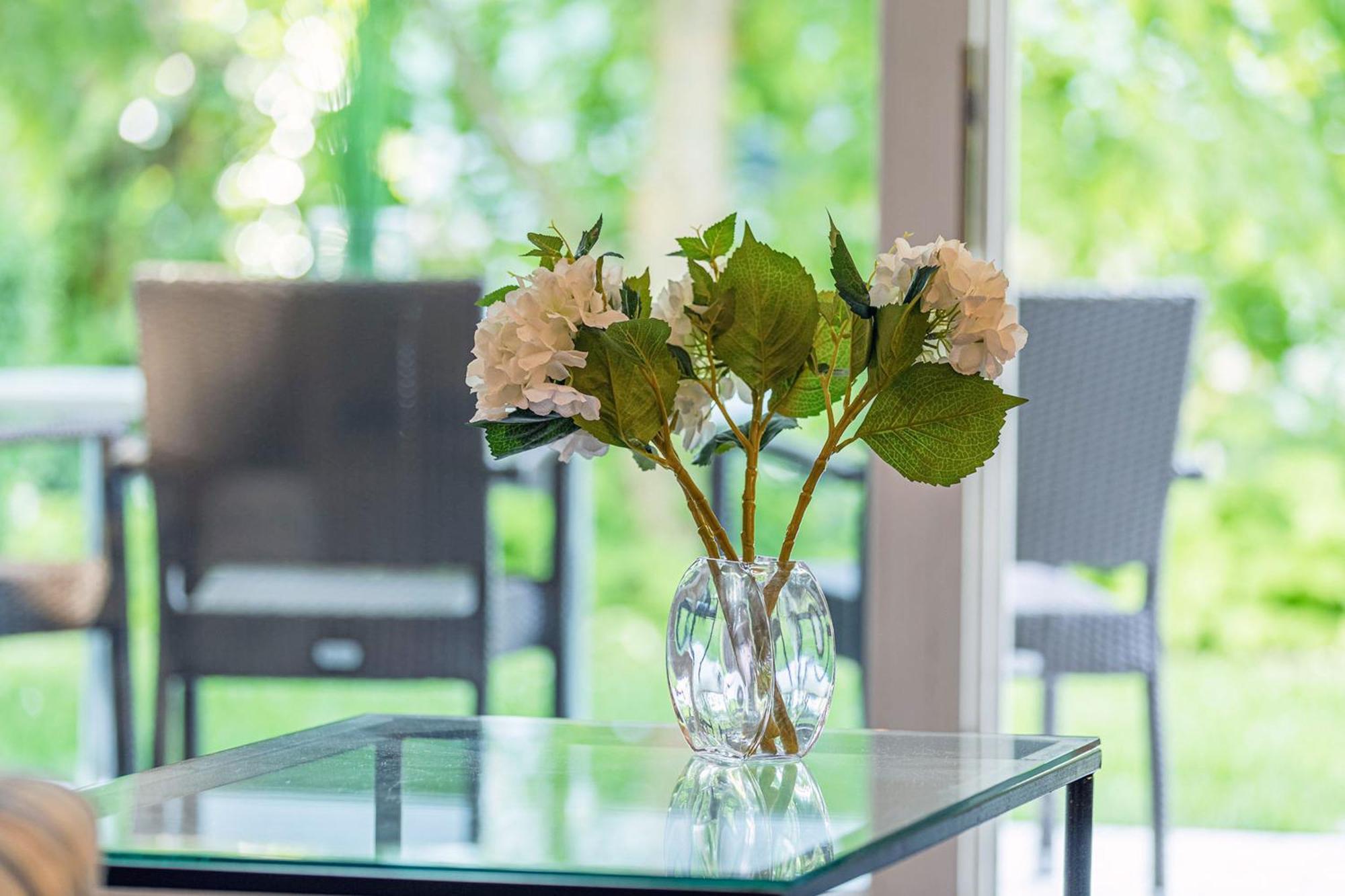 Seebaer Mit Terrasse Zingst Extérieur photo