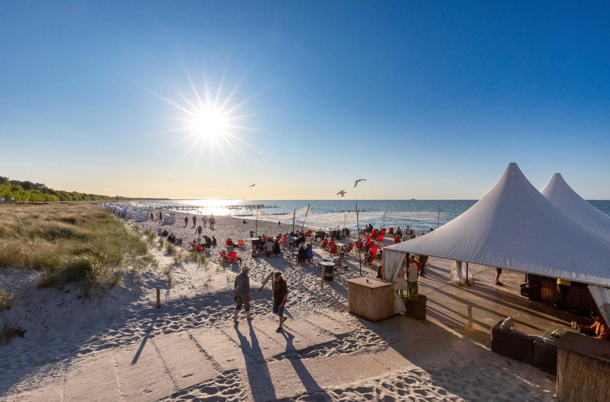 Seebaer Mit Terrasse Zingst Extérieur photo